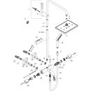 HANSGROHE 26098000 Showerpipe 230 1jet Vernis Shape