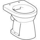 Geberit 501984001 Renova Stand-WC Flachsp&uuml;ler