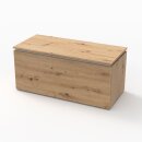 SANIPA P250085 Sitztruhe 2morrow (P2500)