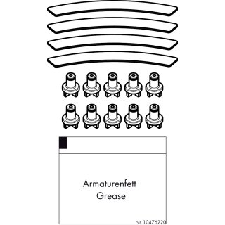 Hansgrohe 92125000 Strahleinsatz