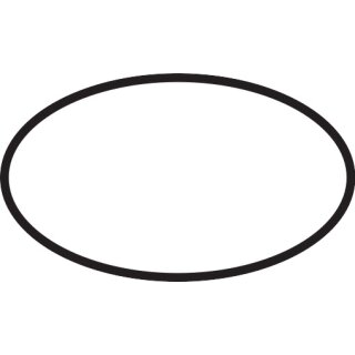 HANSGROHE 98418000 O-Ring 43x3mm