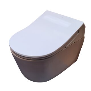 TOTO TCF894CG  WASHLET RX EWATER+ Weiß