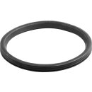 Viega 189907 Lippendichtung 3891-268