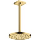 AXOR 35388990 Kopfbrause 220 1jet EcoSmart+