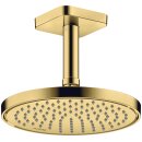 AXOR 35388990 Kopfbrause 220 1jet EcoSmart+