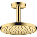 AXOR 35383990 Kopfbrause 220 1jet EcoSmart