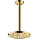 AXOR 35383990 Kopfbrause 220 1jet EcoSmart