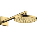 AXOR 35383990 Kopfbrause 220 1jet EcoSmart