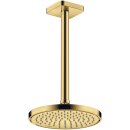 AXOR 35383990 Kopfbrause 220 1jet EcoSmart