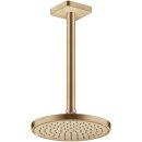 AXOR 35382140 Kopfbrause 220 1jet Axor