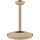 AXOR 35381140 Kopfbrause 245 1jet EcoSmart