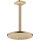 AXOR 35381140 Kopfbrause 245 1jet EcoSmart