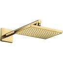 AXOR 26436990 Brausearm DN15 390mm eckig Axor PGO