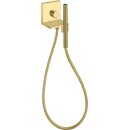 AXOR 10651950 Handbrausenmodul Axor Starck