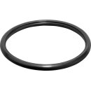 VIEGA 719098 Dichtelement 4289