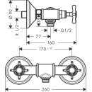 AXOR 16560330 Zweigriff Brausenarmatur Aufputz Axor