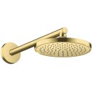 AXOR 26431950 Brausearm DN15 390mm Axor BB