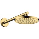 AXOR 26431990 Brausearm DN15 390mm Axor PGO