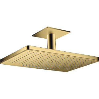 AXOR 35279990 Kopfbrause 460 2jet Axor PGO