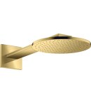 AXOR 35284990 Kopfbrause 250 1jet Axor PGO