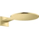 AXOR 35303950 Kopfbrause 300 2jet Axor BB