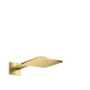 AXOR 35306990 Kopfbrause 250/250 1jet Axor PGO