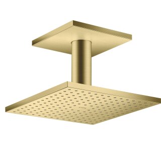 AXOR 35308950 Kopfbrause 250/250 1jet Axor