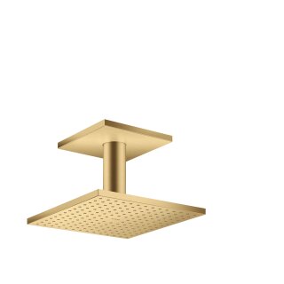 AXOR 35312250 Kopfbrause 250/250 2jet Axor