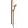 AXOR 36735310 Brausenset Axor Citterio E 900mm