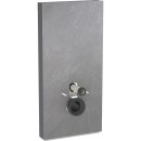 Geberit 131222007 Monolith Plus Sanitärmodul f. WWC