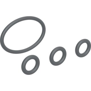 Geberit 244633001 Set O-Ringe für Duschdüse