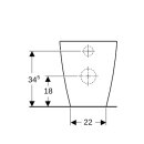 Geberit 211910000 iCon Square Stand-WC Tiefsp&uuml;ler