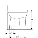 Geberit 218521000 Renova Comfort Stand-WC Flachsp&uuml;ler