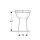 Geberit 218521000 Renova Comfort Stand-WC Flachsp&uuml;ler