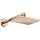 AXOR 35374300 Kopfbrause 245/185 1jet EcoSmart