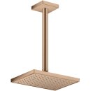AXOR 35374310 Kopfbrause 245/185 1jet EcoSmart