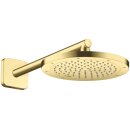 AXOR 35380950 Kopfbrause 245 1jet Axor BB