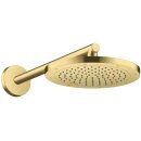 AXOR 35380950 Kopfbrause 245 1jet Axor BB