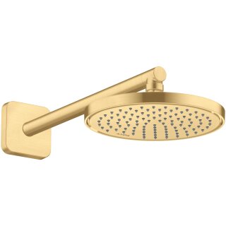 AXOR 35383250 Kopfbrause 220 1jet EcoSmart
