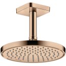 AXOR 35383300 Kopfbrause 220 1jet EcoSmart