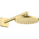 AXOR 35383950 Kopfbrause 220 1jet EcoSmart