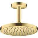 AXOR 35383950 Kopfbrause 220 1jet EcoSmart