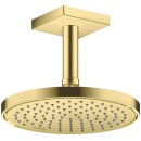 AXOR 35383950 Kopfbrause 220 1jet EcoSmart