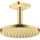 AXOR 35388950 Kopfbrause 220 1jet EcoSmart+