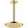 AXOR 35389990 Kopfbrause 245 1jet EcoSmart+