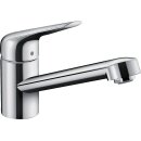 HANSGROHE 71866000 Sp&uuml;ltischmischer 100 Focus M42