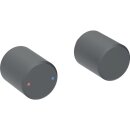 Geberit 244162141 Set Drehgriffe f. Geberit ONE WT-Arm.
