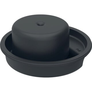 Geberit 388108001 Siphoneinsatz Sperrwasserhöhe 27 mm