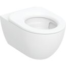 Geberit 502996001 Acanto Set WWC m. WC-Sitzring, Tiefsp