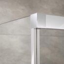 HSK 17088100-68-560 Atelier Plan Drehfaltt&uuml;r Nische 1000x2000mm Schwarz-Matt Echtglas Carr&eacute; Edelglasbeschichtung